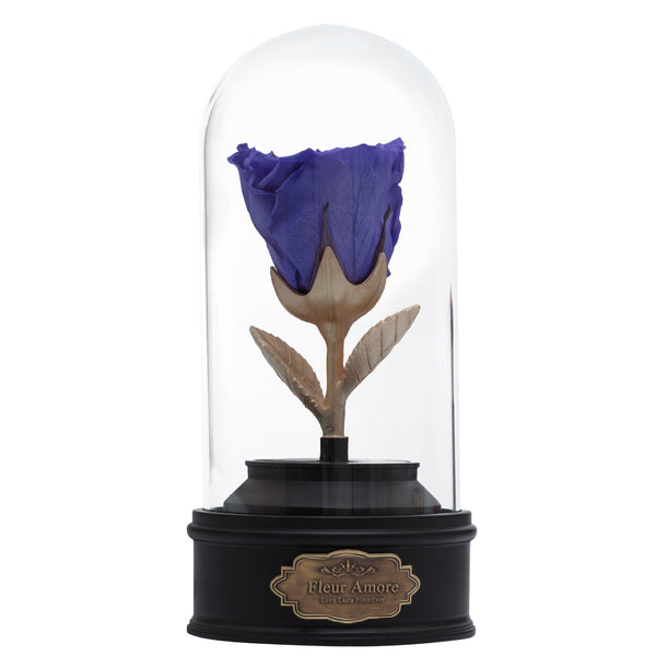 PURPLE PRESERVED ROSE | BEAUTY AND THE BEAST MUSIC GLOBE
