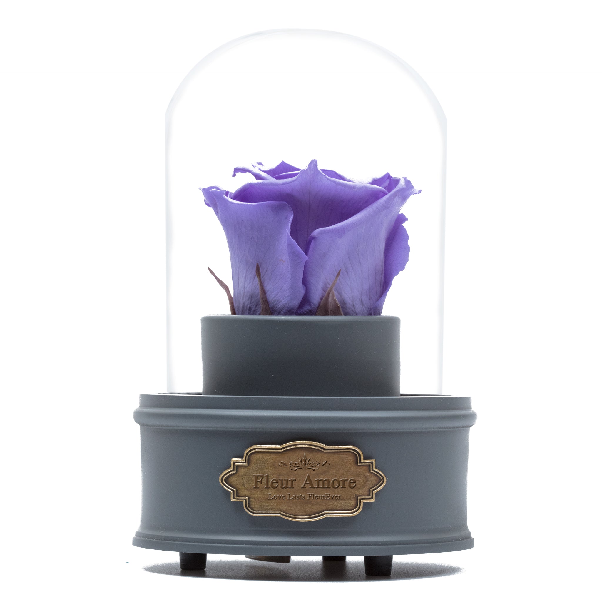 PURPLE PRESERVED ROSE|THE ONLY REGULAR GREY MUSIC GLOBE