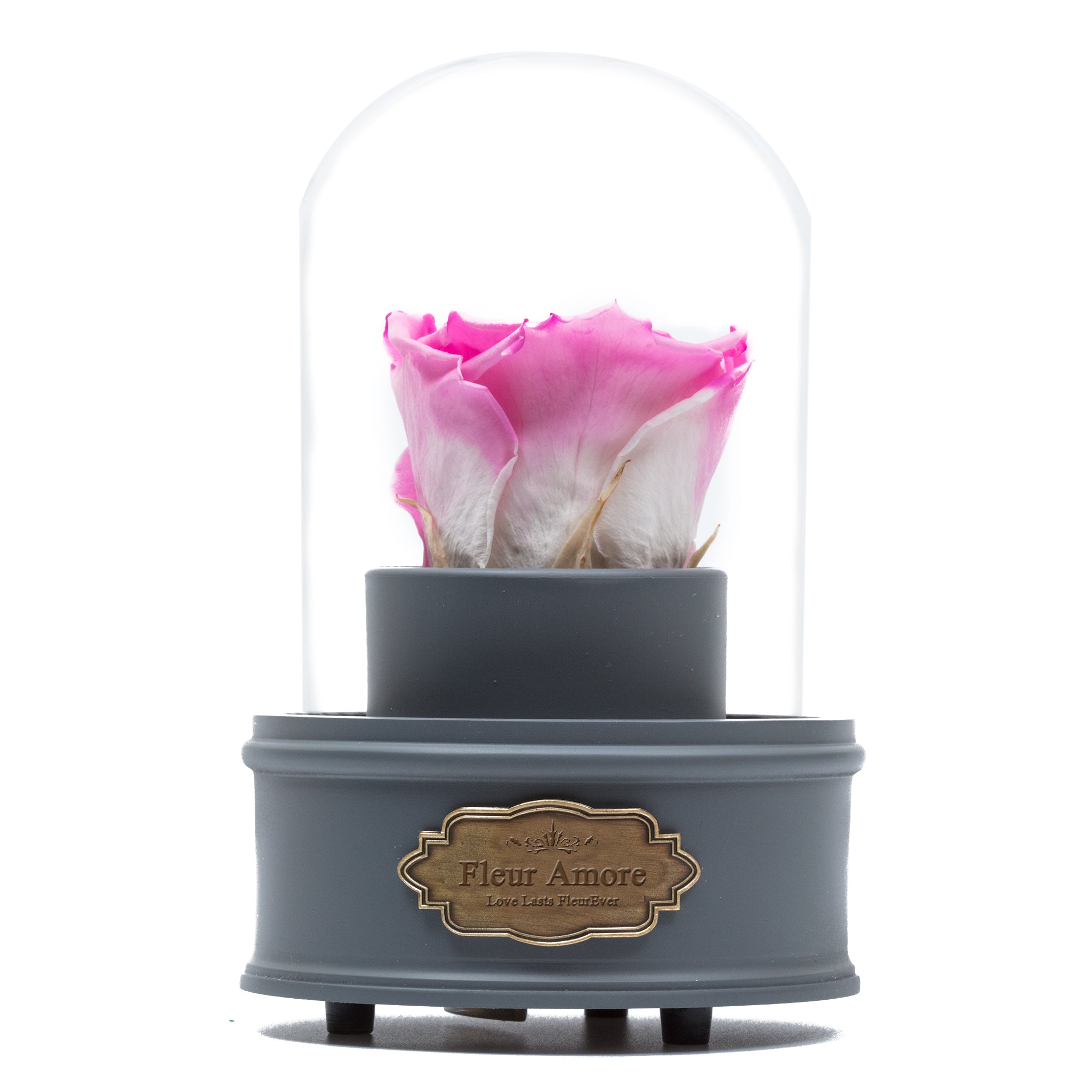 PINK PRESERVED ROSE|THE ONLY REGULAR GREY MUSIC GLOBE