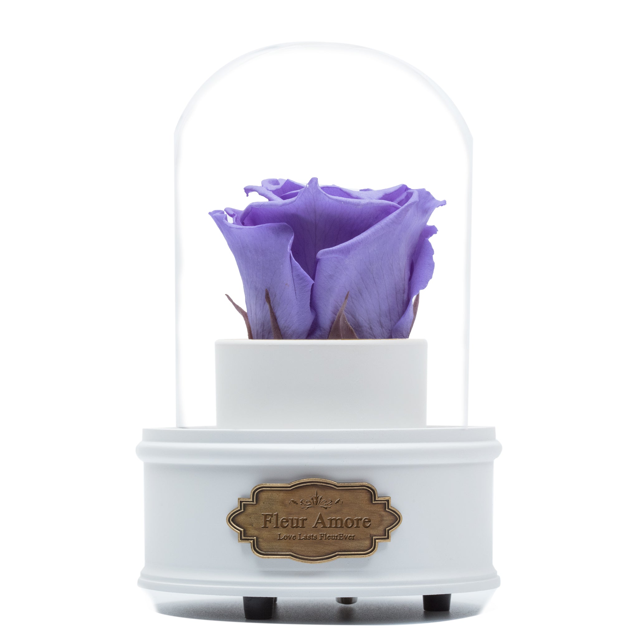 PURPLE PRESERVED ROSE|THE ONLY REGULAR WHITE MUSIC GLOBE