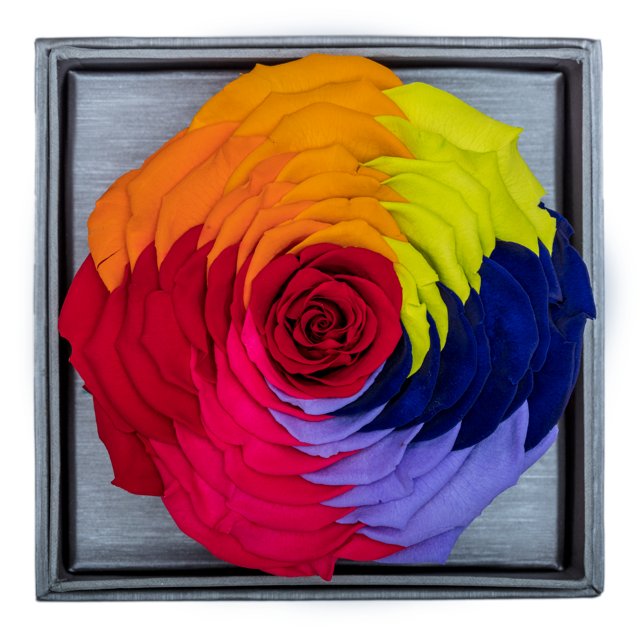 Rainbow Mega Preserved Rose | Crystalline Rose Box