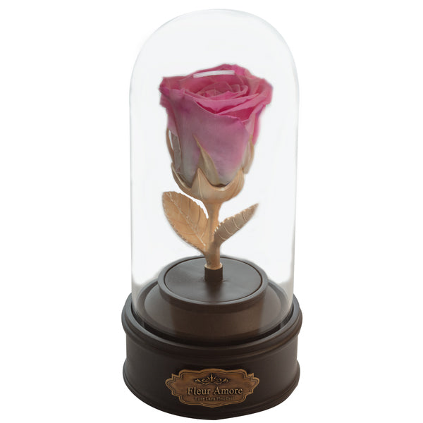 PINK PRESERVED ROSE | BEAUTY AND THE BEAST MUSIC GLOBE