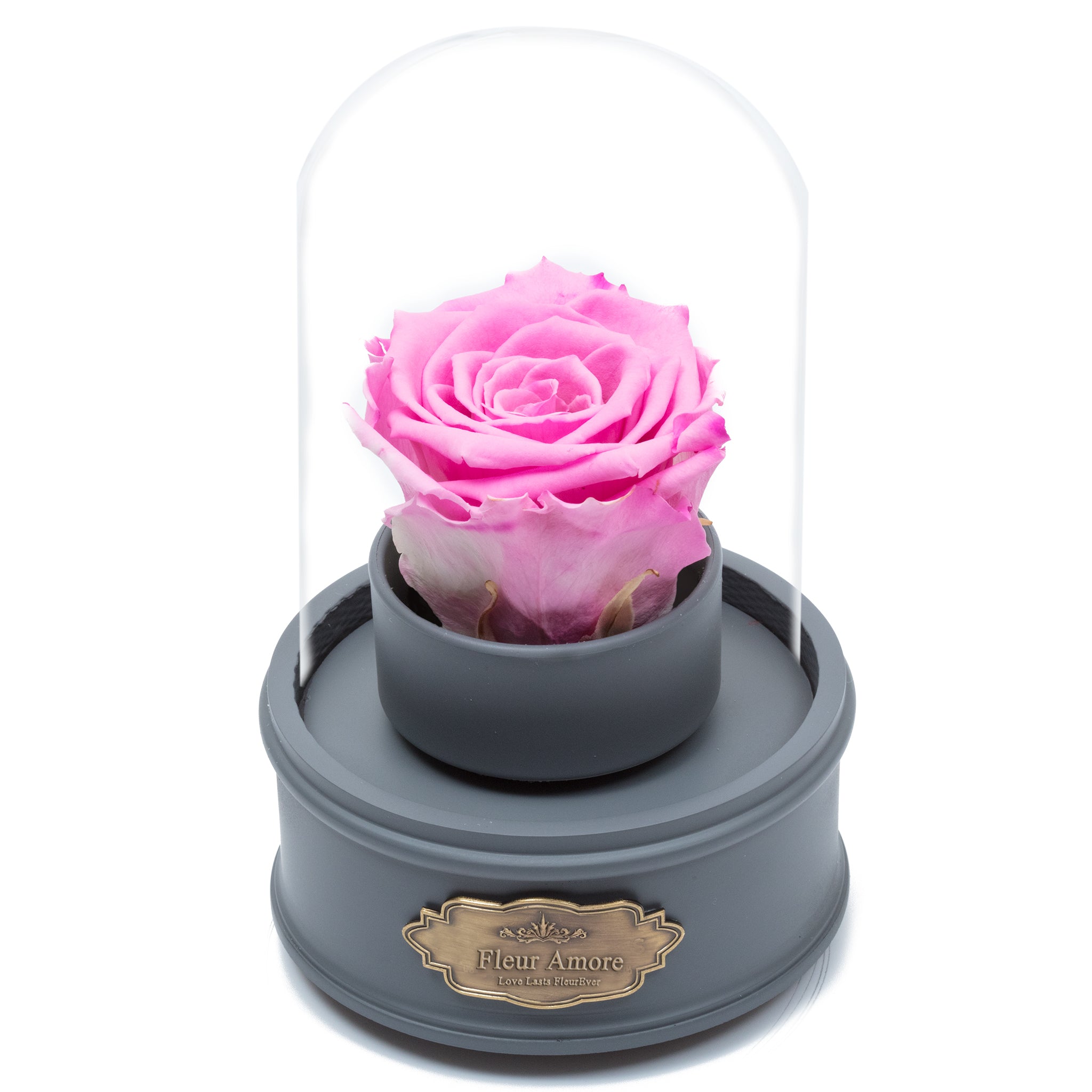 PINK PRESERVED ROSE|THE ONLY REGULAR GREY MUSIC GLOBE