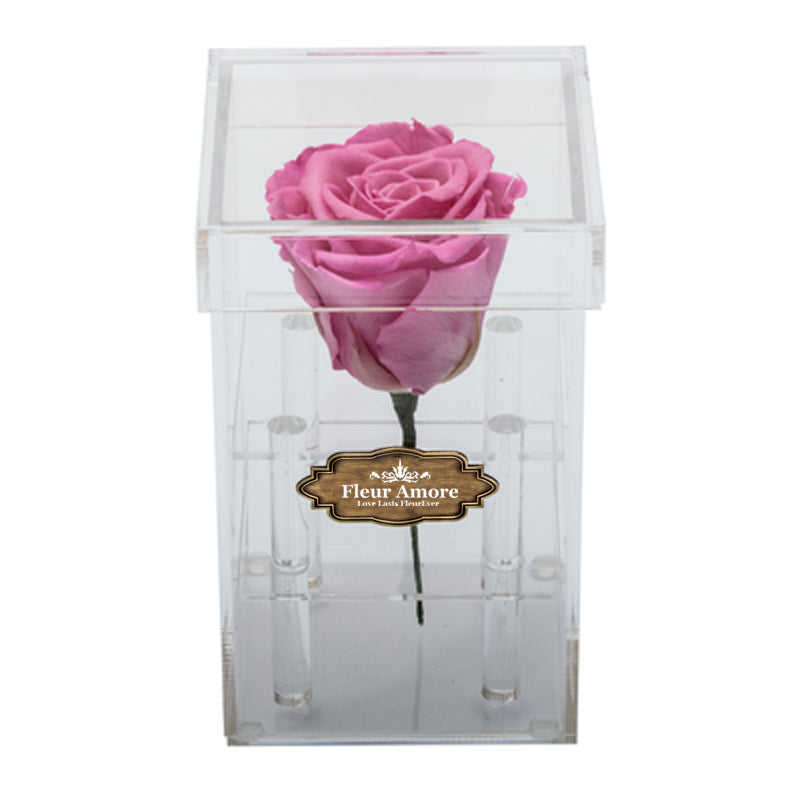 PINK PRESERVED ROSE | PETITE ACRYLIC ROSE BOX