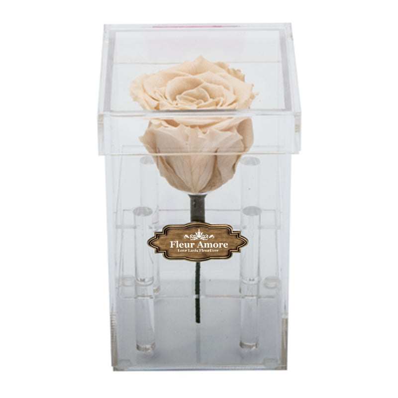 PEACH PRESERVED ROSE | PETITE ACRYLIC ROSE BOX