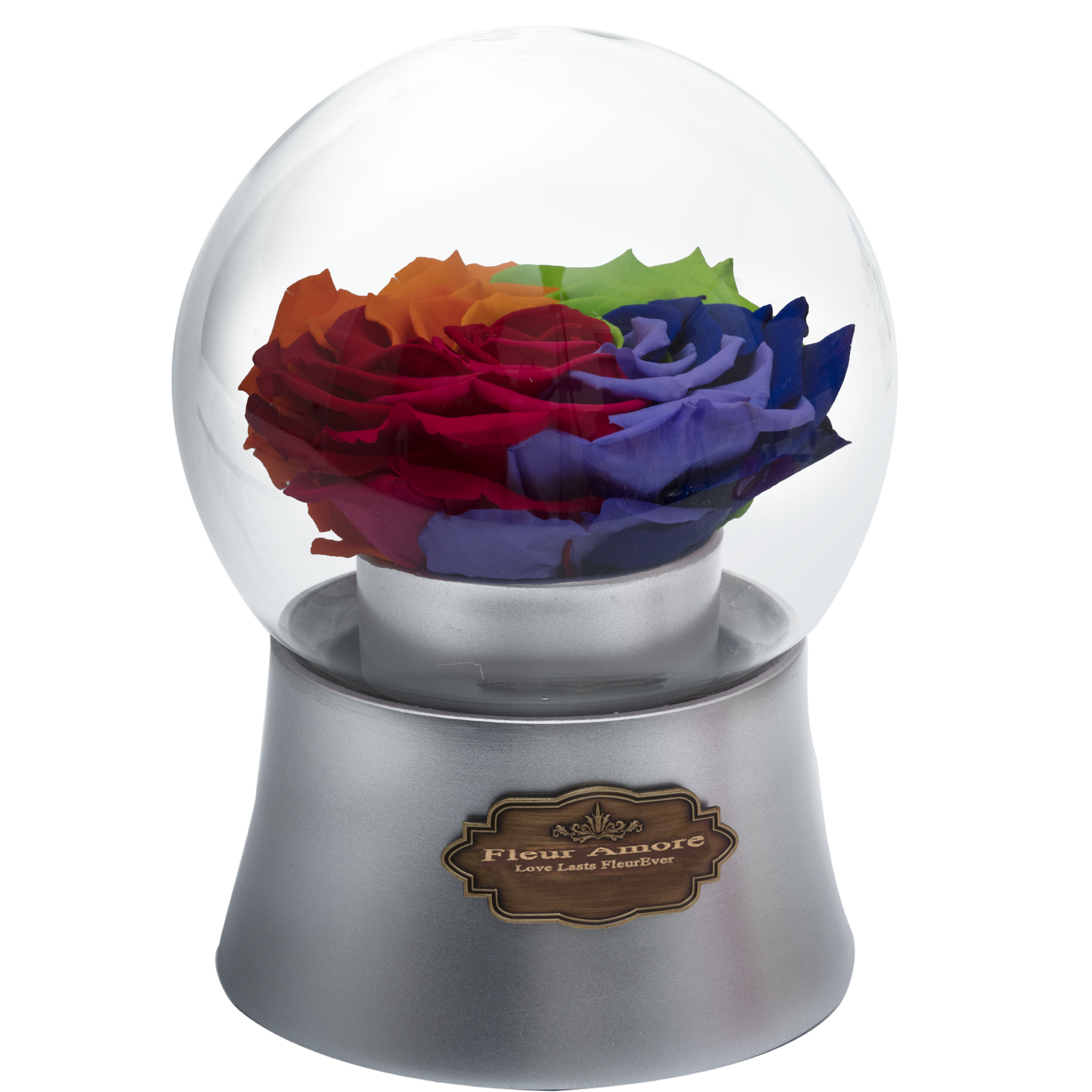 Rainbow Preserved Rose|The Only Large Silver Music Globe