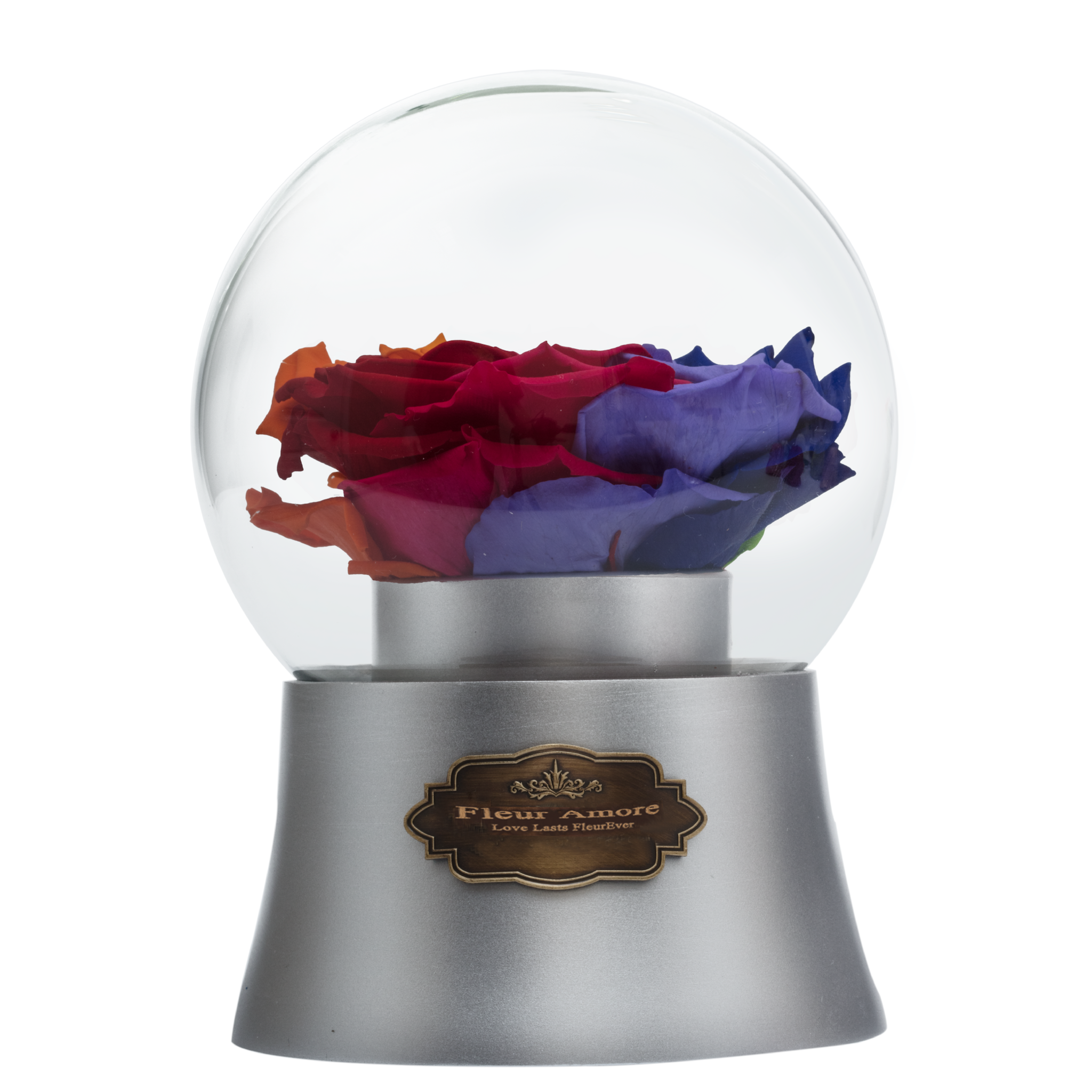 Rainbow Preserved Rose|The Only Large Silver Music Globe