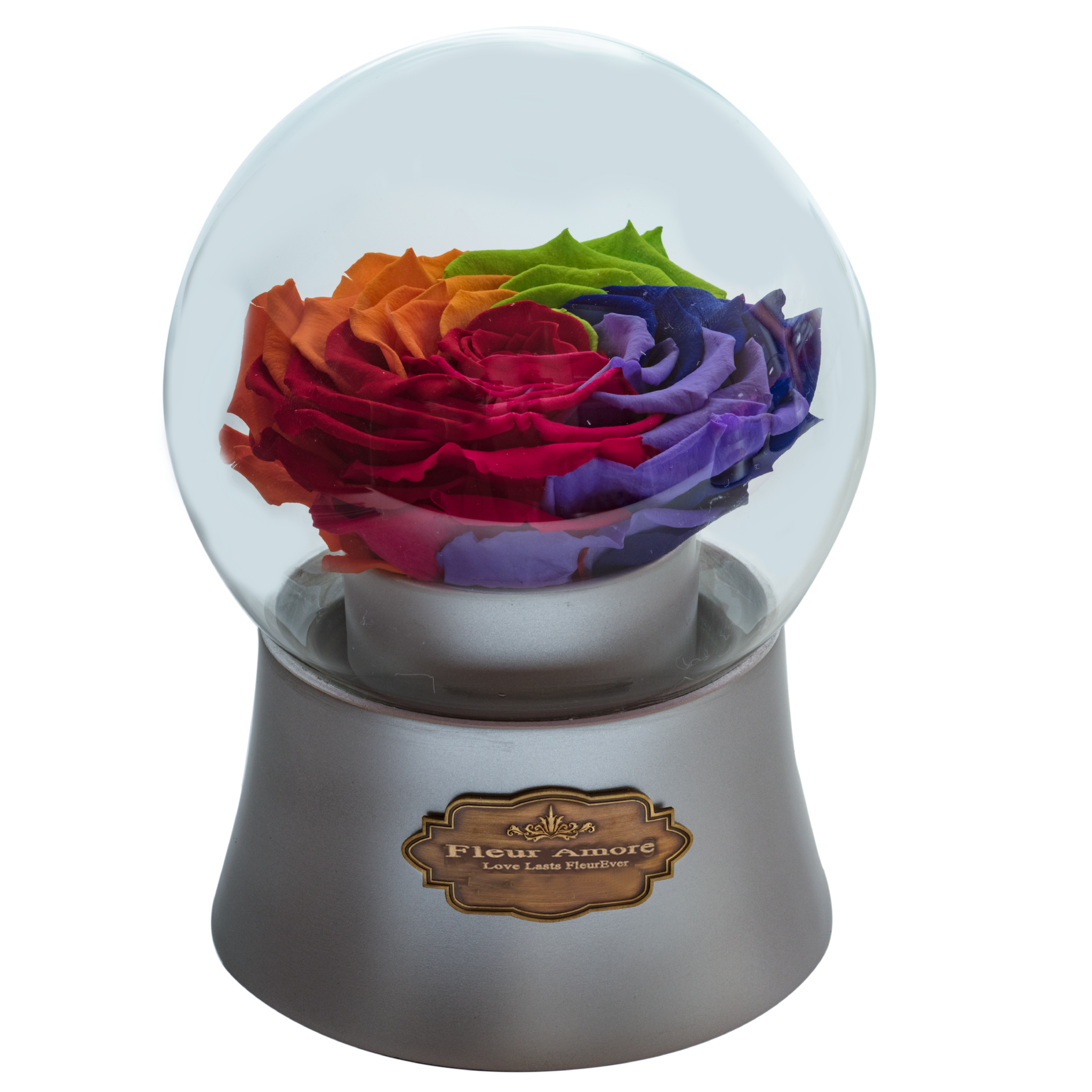 Rainbow Preserved Rose|The Only Large Silver Music Globe