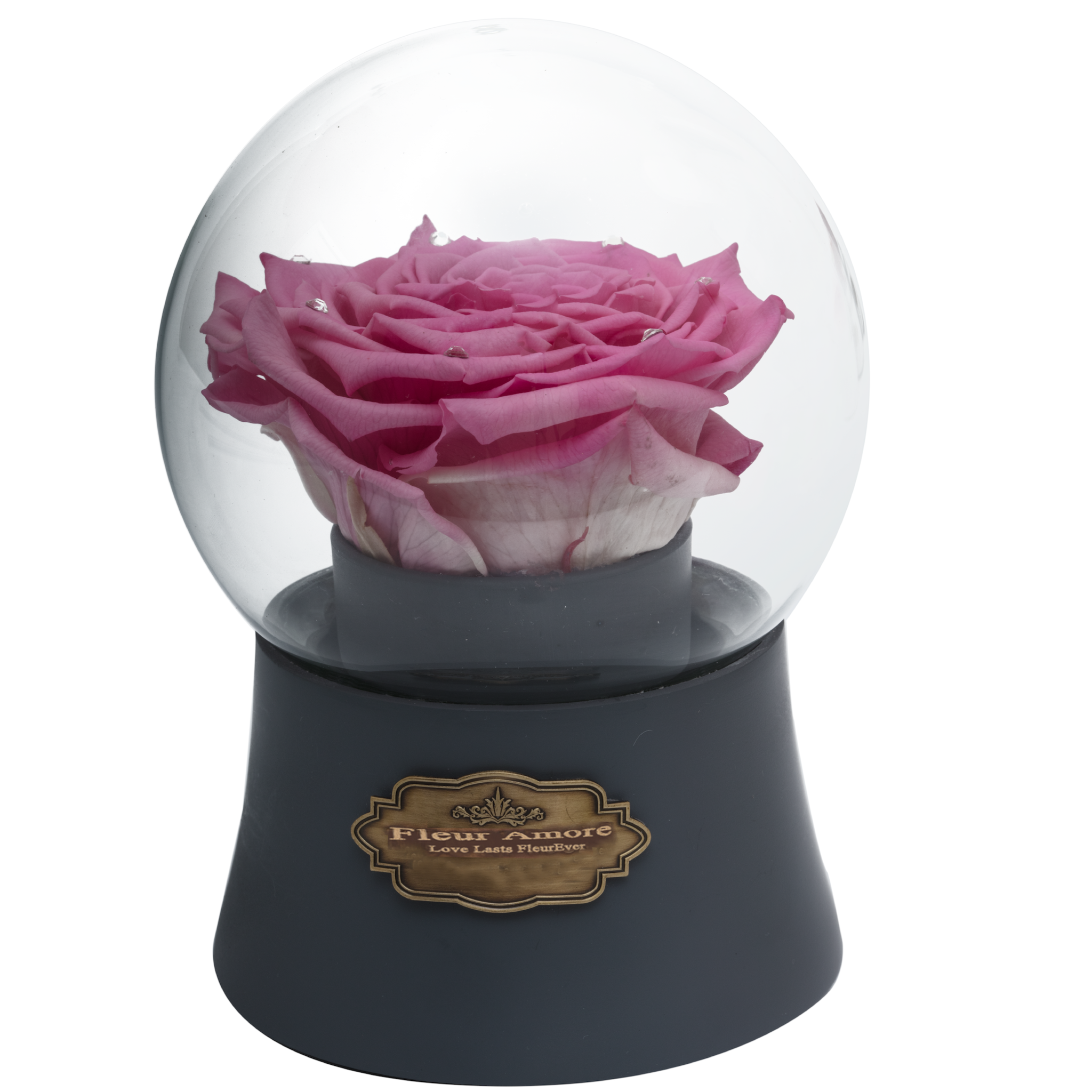 Pink Preserved Rose|The Only Large Grey Music Globe