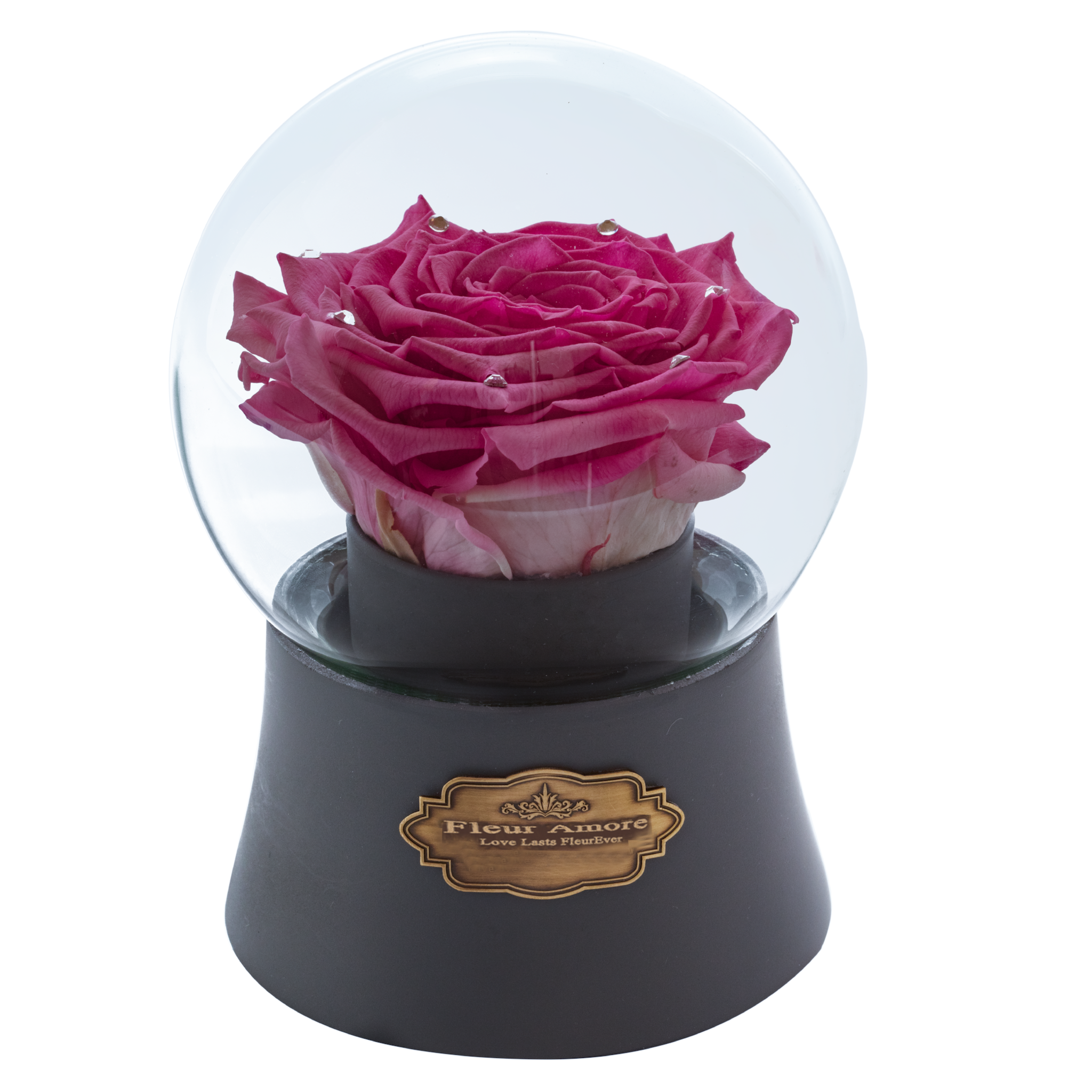 Pink Preserved Rose|The Only Large Grey Music Globe