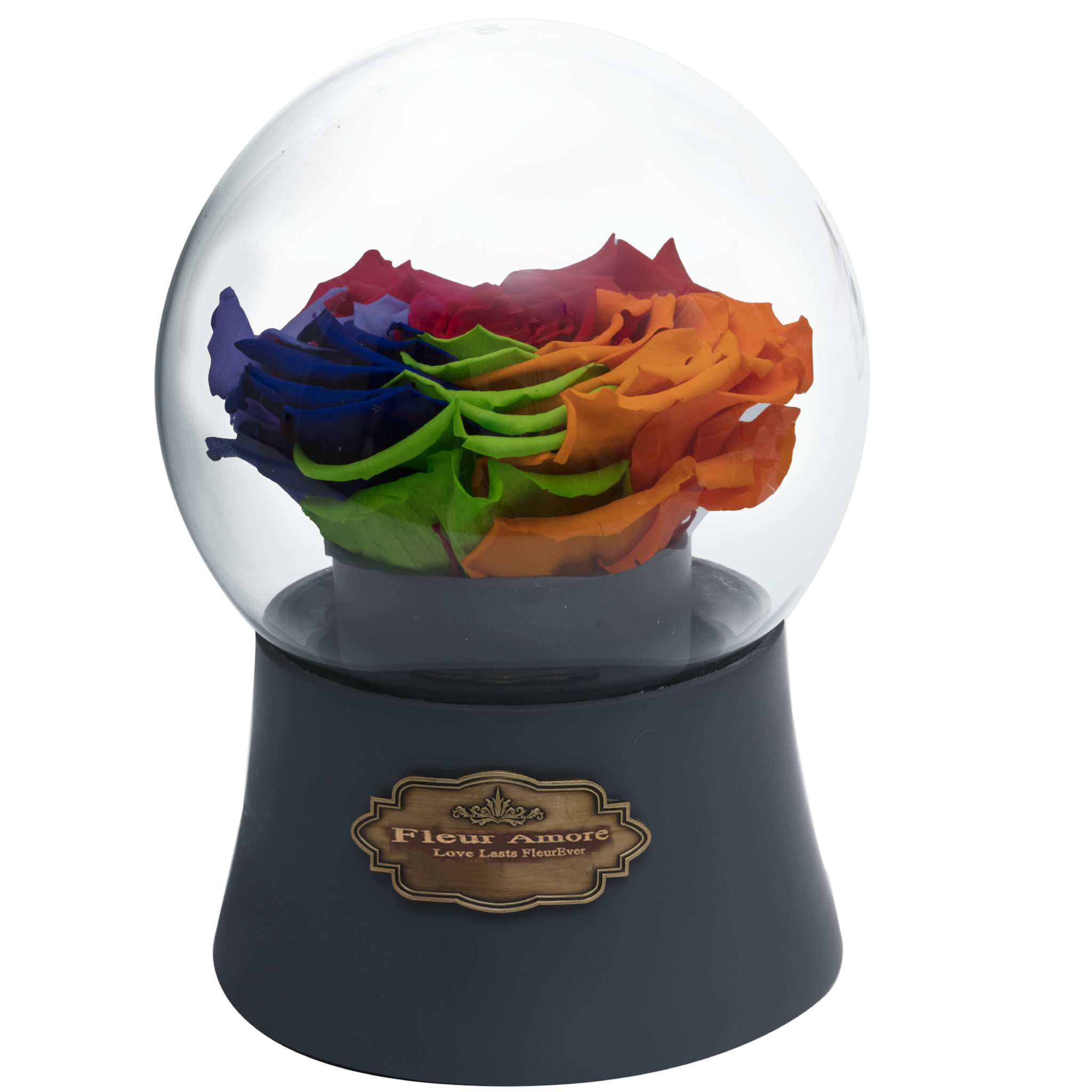 Rainbow Preserved Rose|The Only Large Grey Music Globe