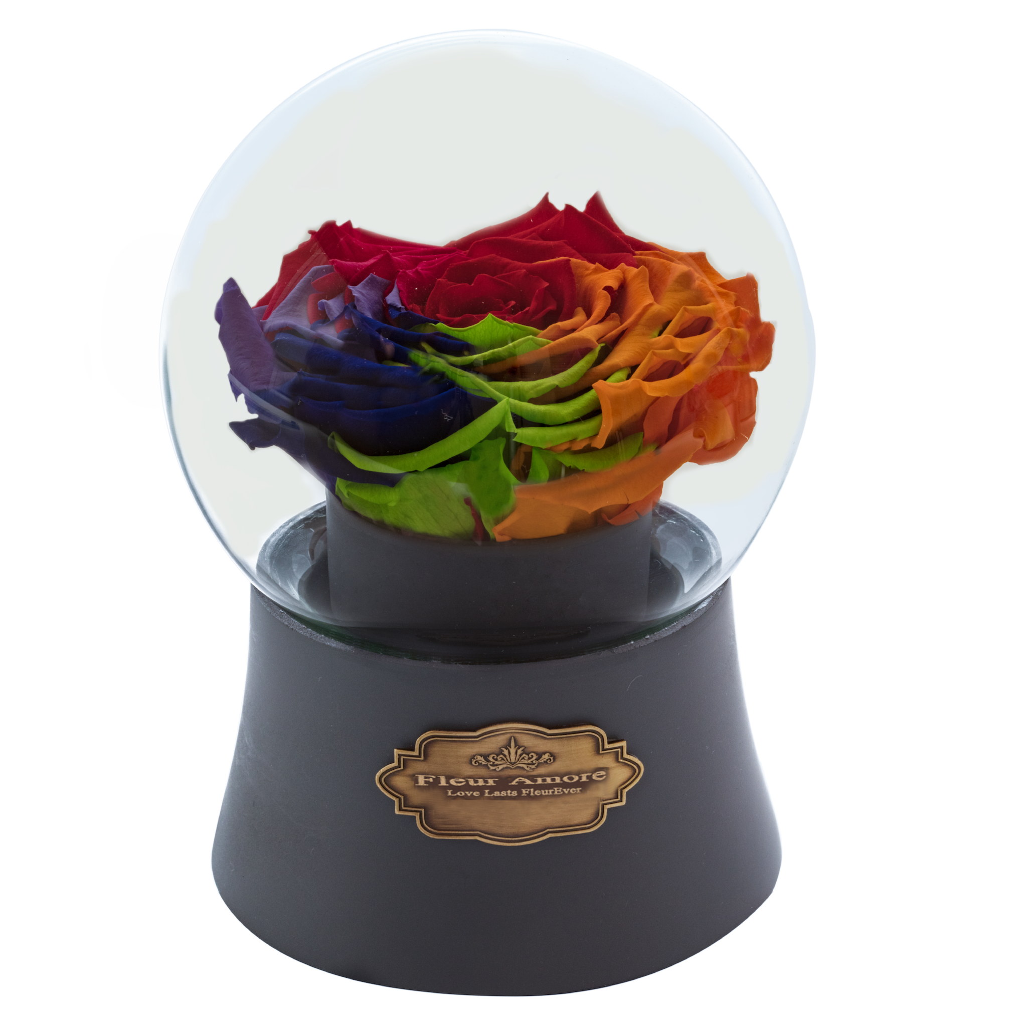 Rainbow Preserved Rose|The Only Large Grey Music Globe