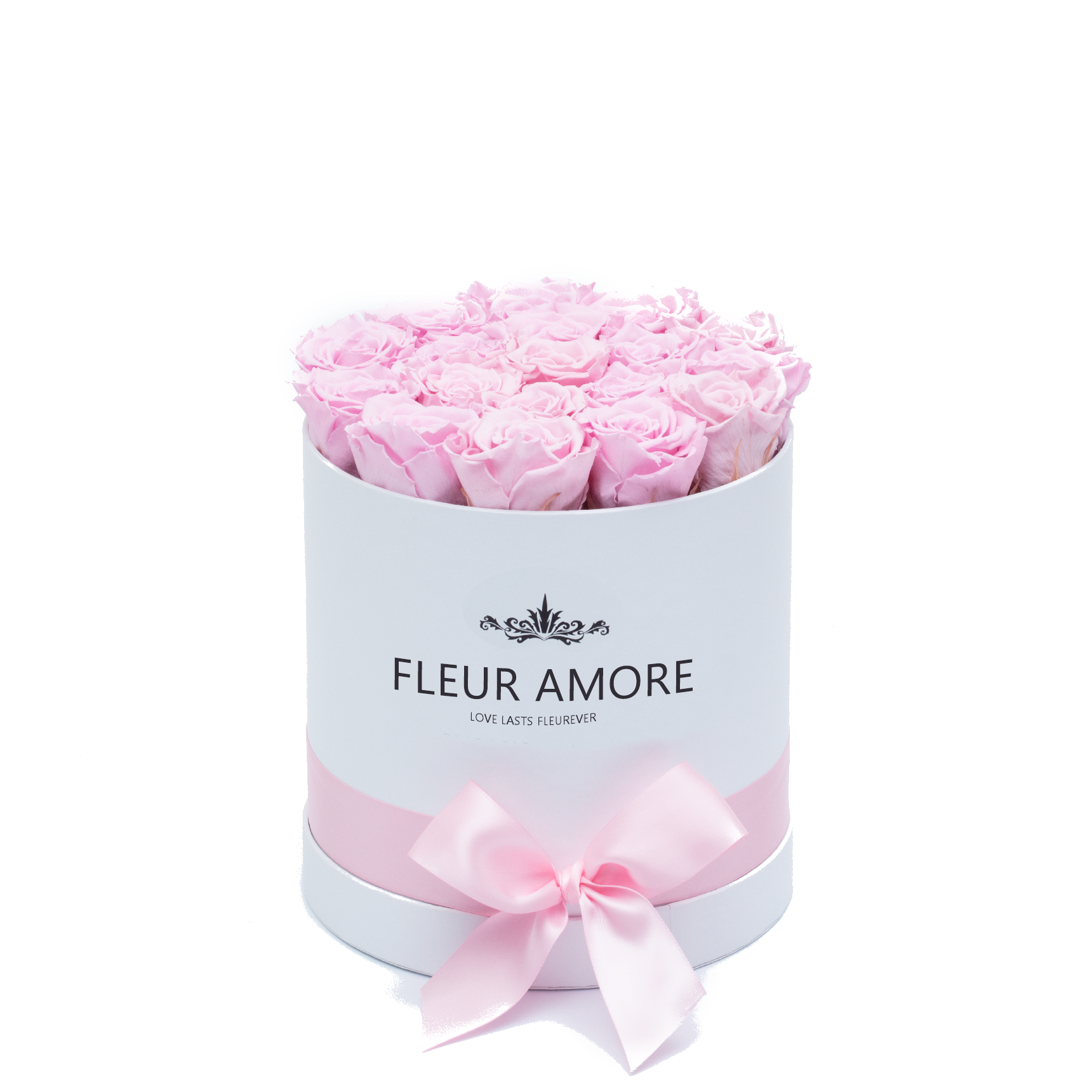 LIGHT PINK PRESERVED ROSES | SMALL ROUND WHITE HUGGY ROSE BOX