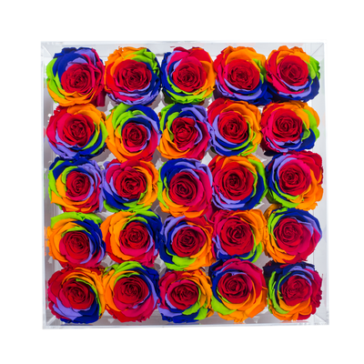 RAINBOW COLOR PRESERVED ROSES | LARGE ACRYLIC ROSE BOX