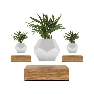 Lyfe Planter 3-Pack by BirthCandle.com