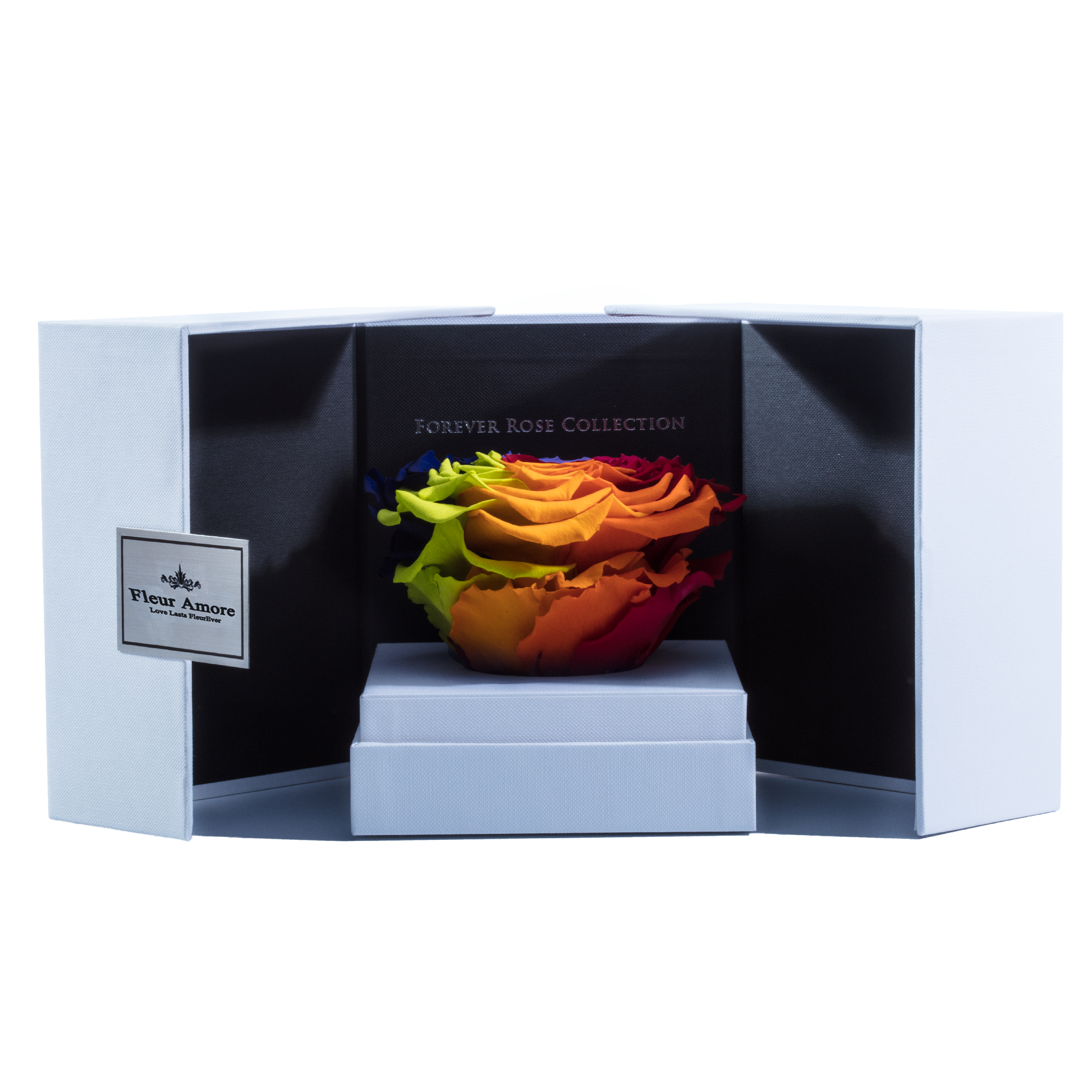 Rainbow Mega Preserved Rose | Swing Opening Box