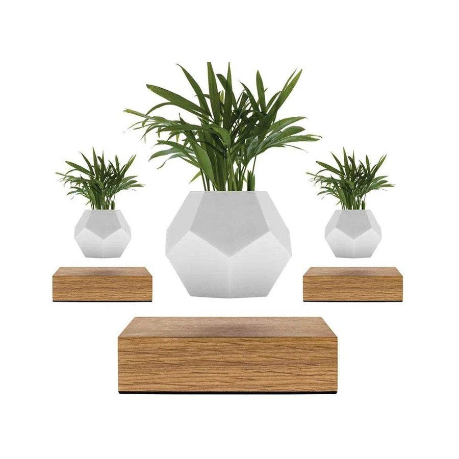 Lyfe Planter 3-Pack By BirthCandle.Com