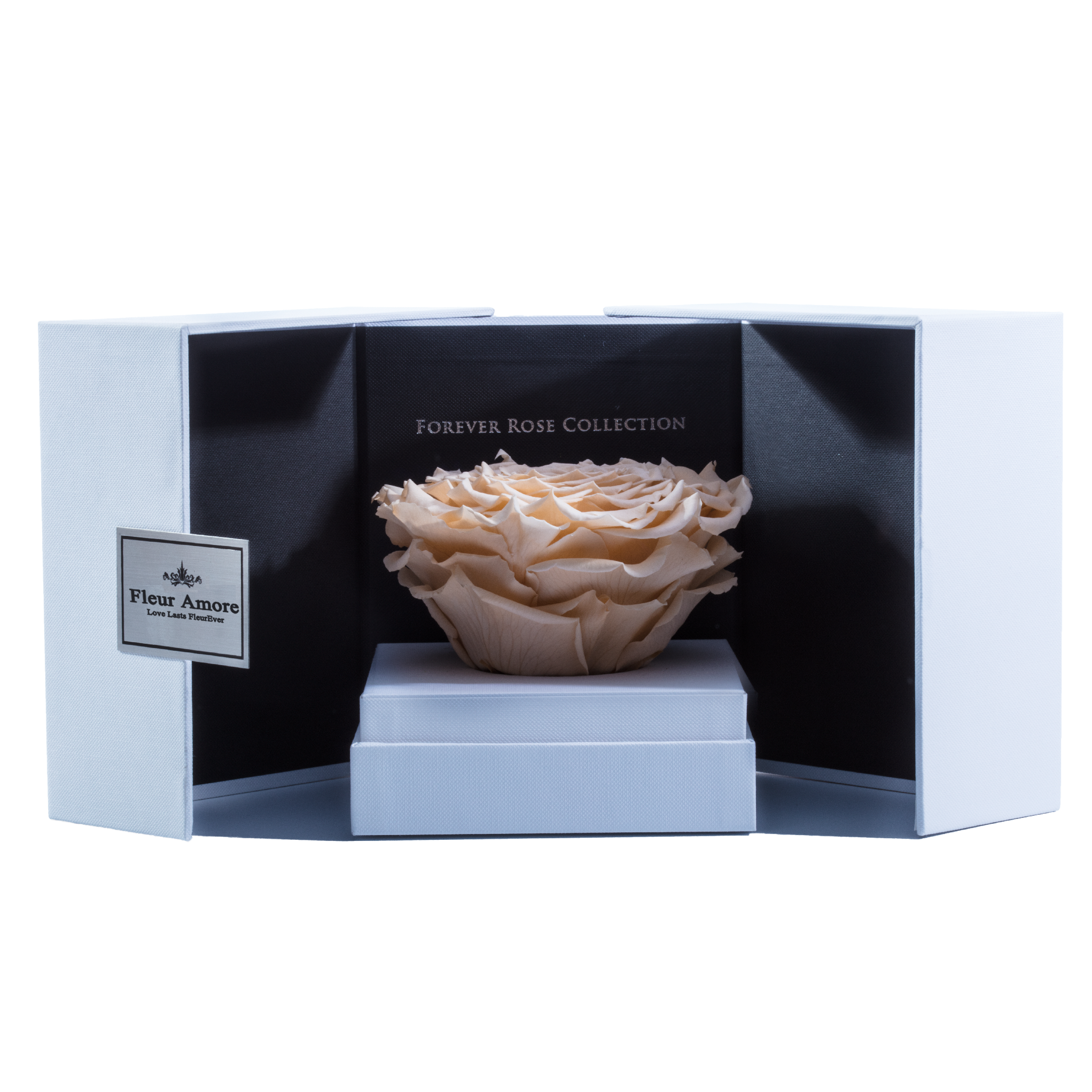 Peach Mega Preserved Rose | Swing Opening Box