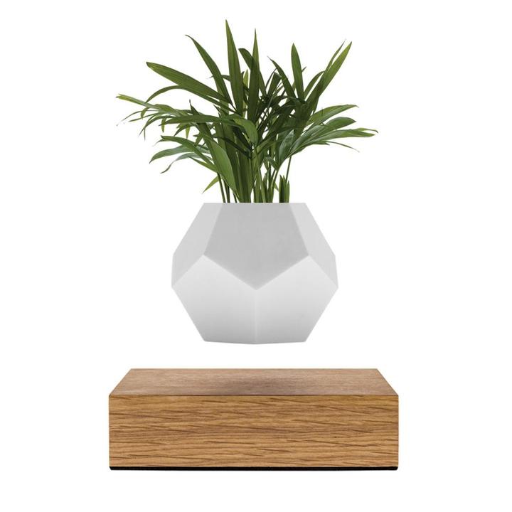 Lyfe Planter by BirthCandle.com
