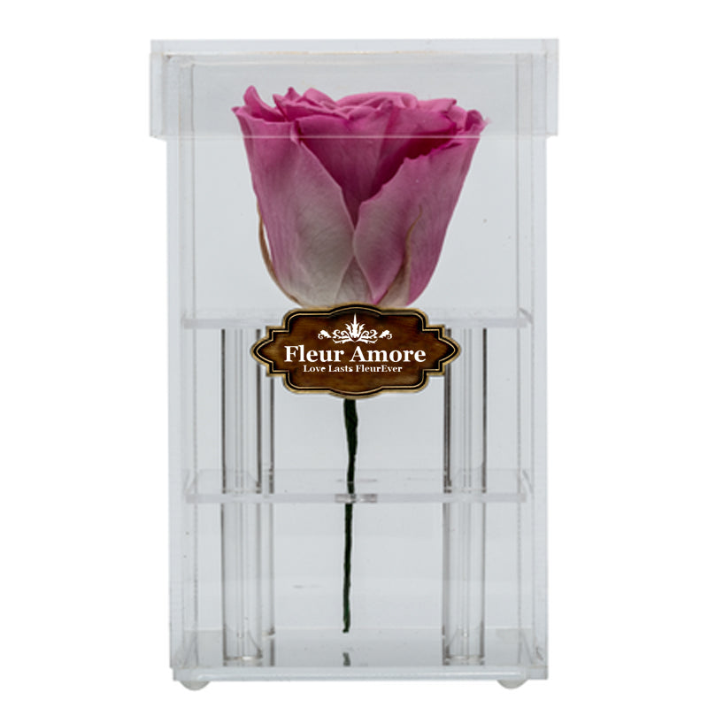 PINK PRESERVED ROSE | PETITE ACRYLIC ROSE BOX