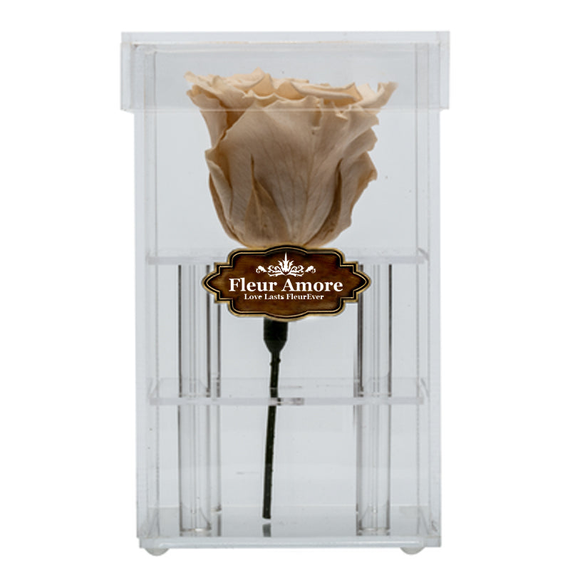 PEACH PRESERVED ROSE | PETITE ACRYLIC ROSE BOX